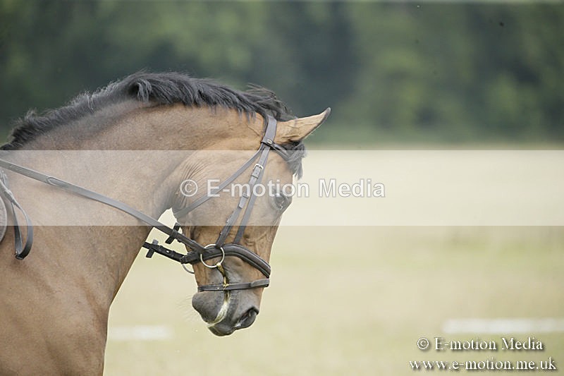 B230619-0614 - Bourne Valley Riding Club Summer Show 23/06/19