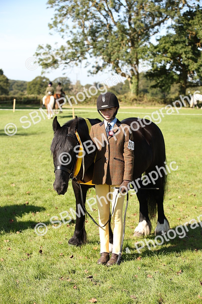 SBM_36689 - S10 - Best In Hand Horse & Pony