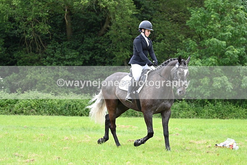 WJ7_2099 - Class 12A Coloured Class