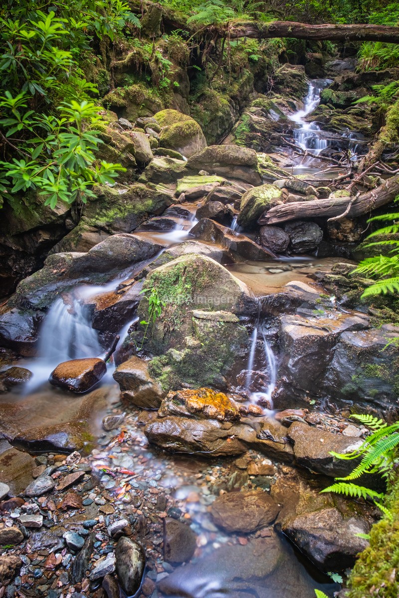 Stuckgowan Burn - My Scotland - The Landscapes