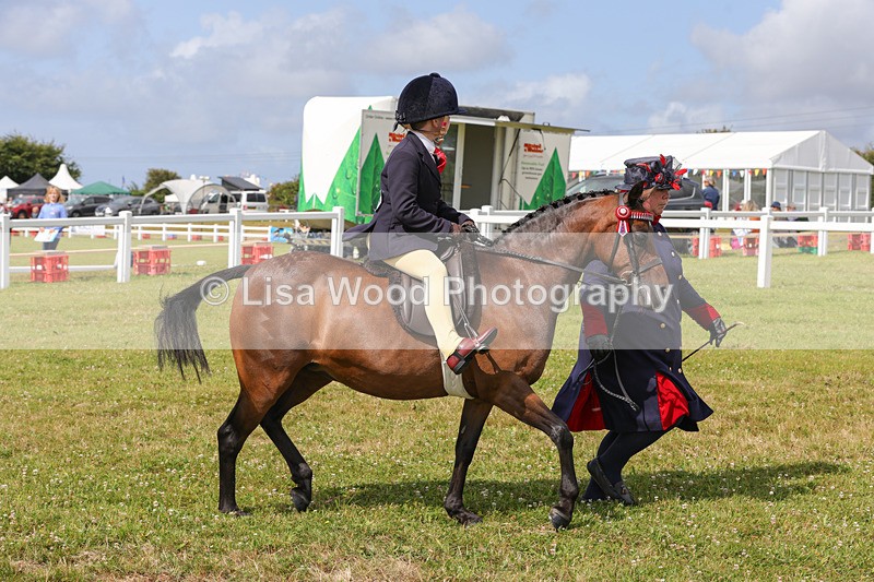 1X9A3647 - Class 29: Lead Rein SP/SHP