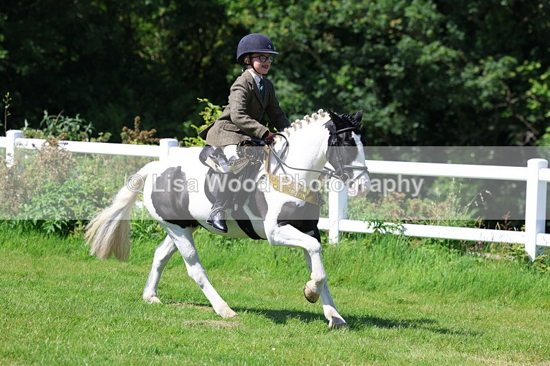3E7A6857 - Working Hunter Pony Championship