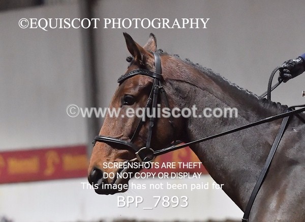 BPP_7893 - INTRO TEST 3