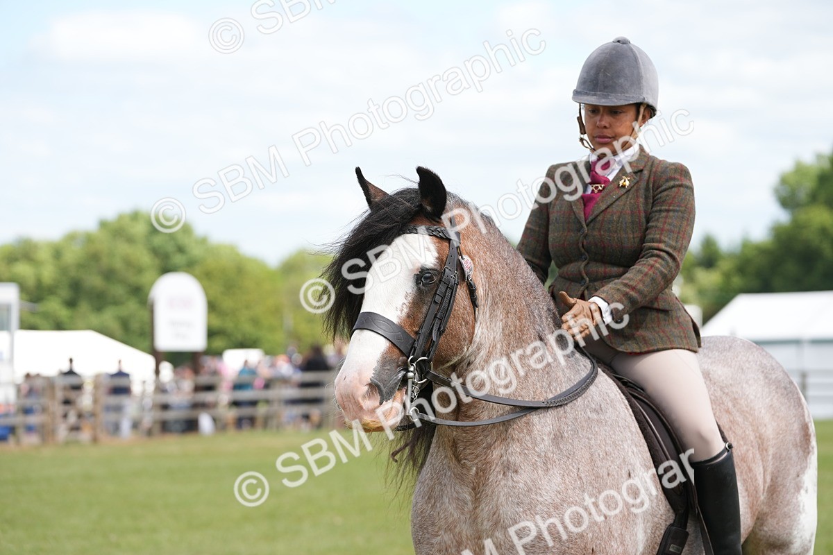 SBM_17193 - Class 107-108 - LIHS BSPS Performance Coloured Horse Pony