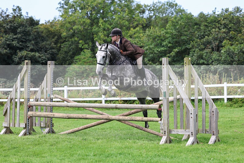 3E7A8854 - Class 6: Open Working Horse