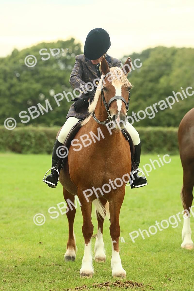 SBM_72220 - S60 - Mountain & Moorland Ridden Large Breeds