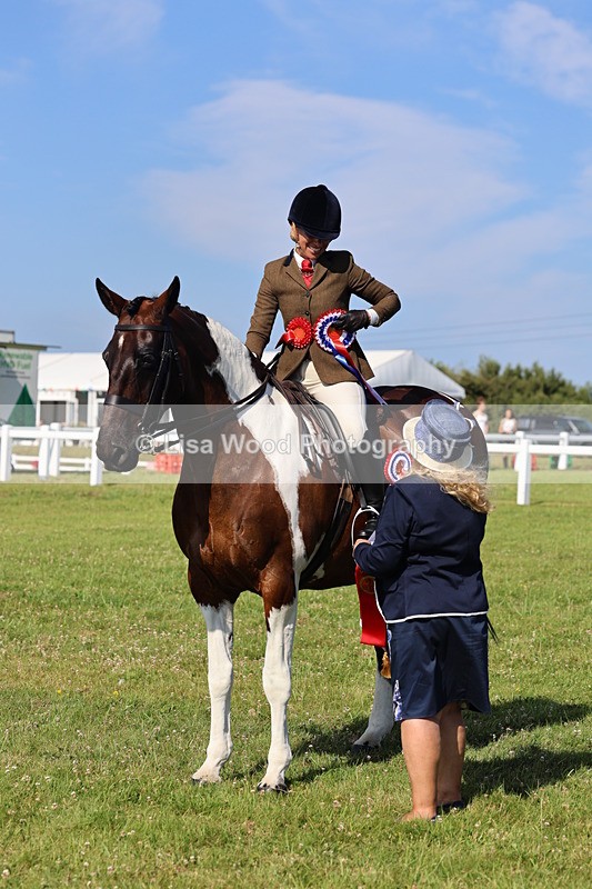 IMG_1676 - Skewbald and Piebald Ridden Championship