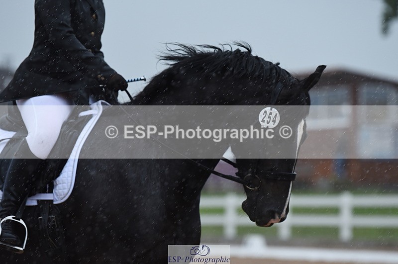 230708A-123130-01735 - Prelim 7