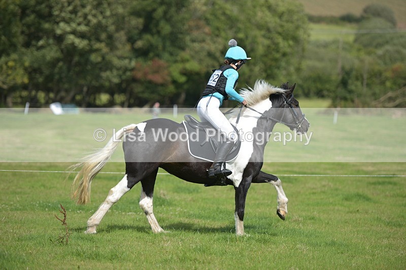 RAY_8651 - Class 2: Trekenning Open: Wall