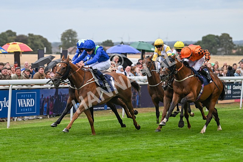 300825-Race 7-Urban Sprawl-2147 - Race 7