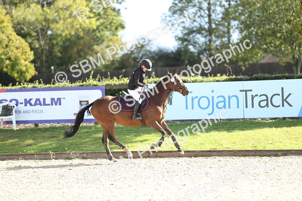 SBM_37388 - J20 - Junior Horse 50cm Championship