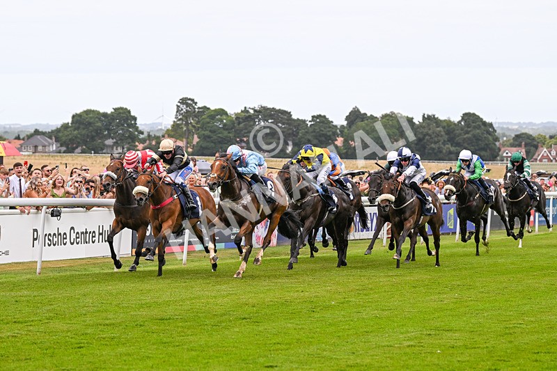 140824-Race 1-Lord Roxby-5775 - Race 1