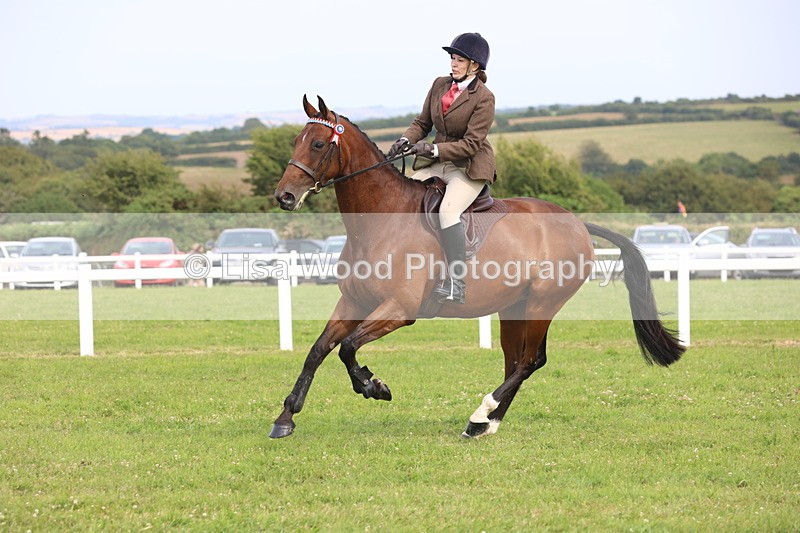 JPP_4180 - Class 25: Working Show Horse