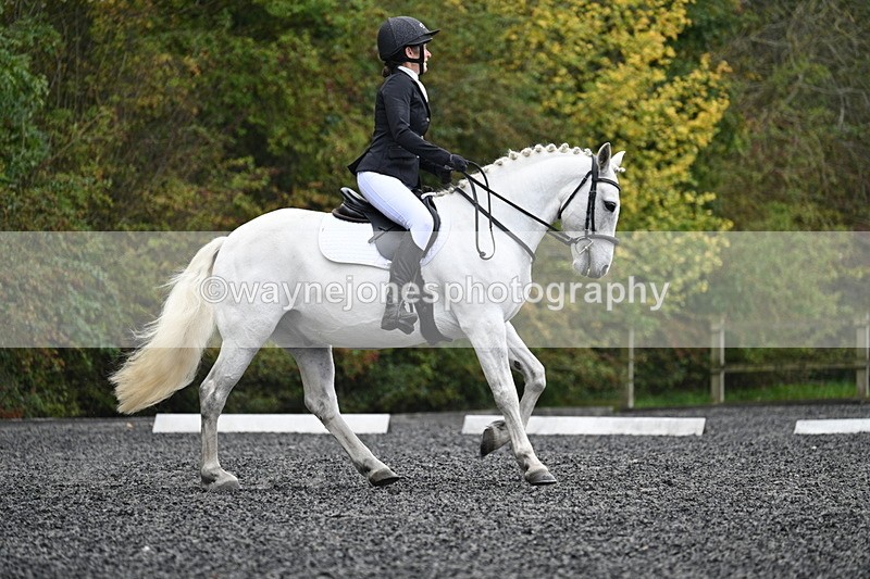 WJ7_4235 - Time 11:43 to 12:09