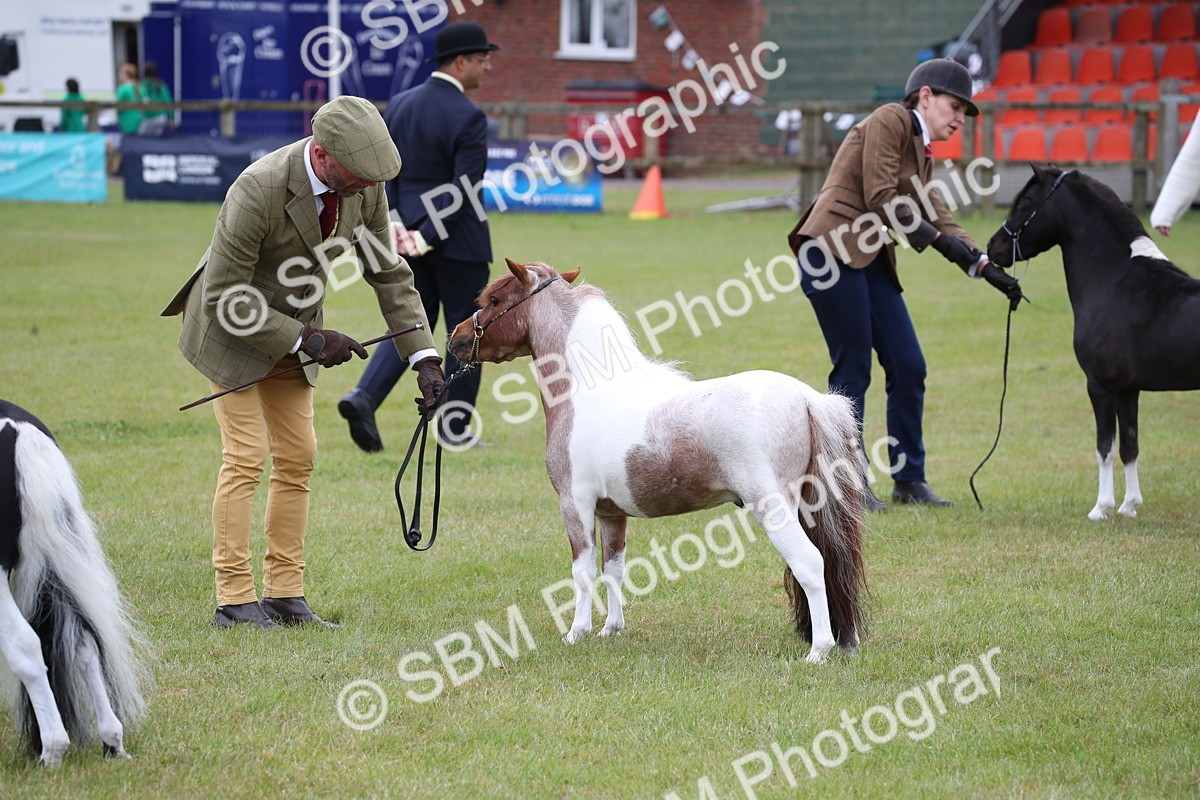SBM_03824 - Class 23-25 - British Miniature Horse of the Year