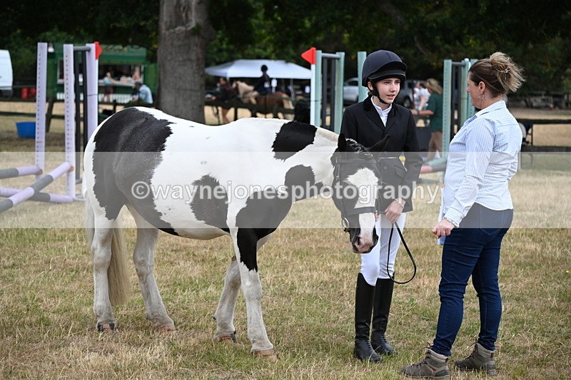 WJ6_4206 - Class 10 Coloured In-hand