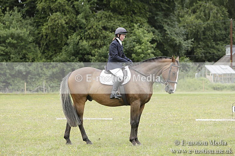 BVR160717-1496 - Class 3 Dressage 16/07/17