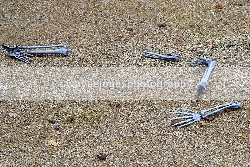 WJ7_5809 - Berks & Bucks - Children's Meet - The Old Farmhouse – Steventon.