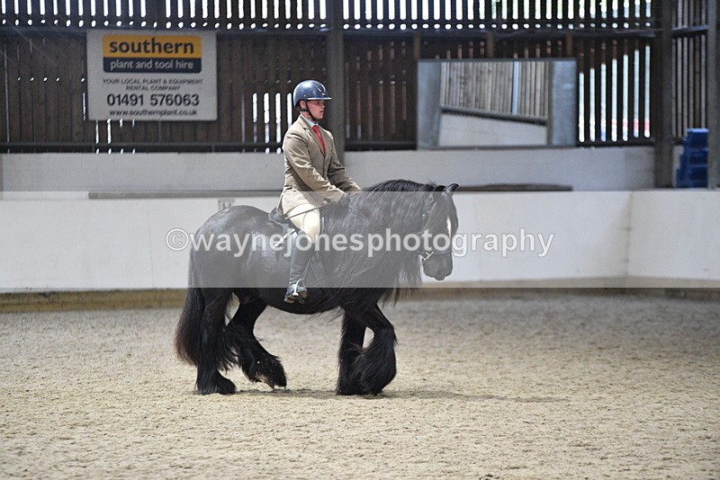 WJ5_8658 - Class 14 Novice Ridden/Rider