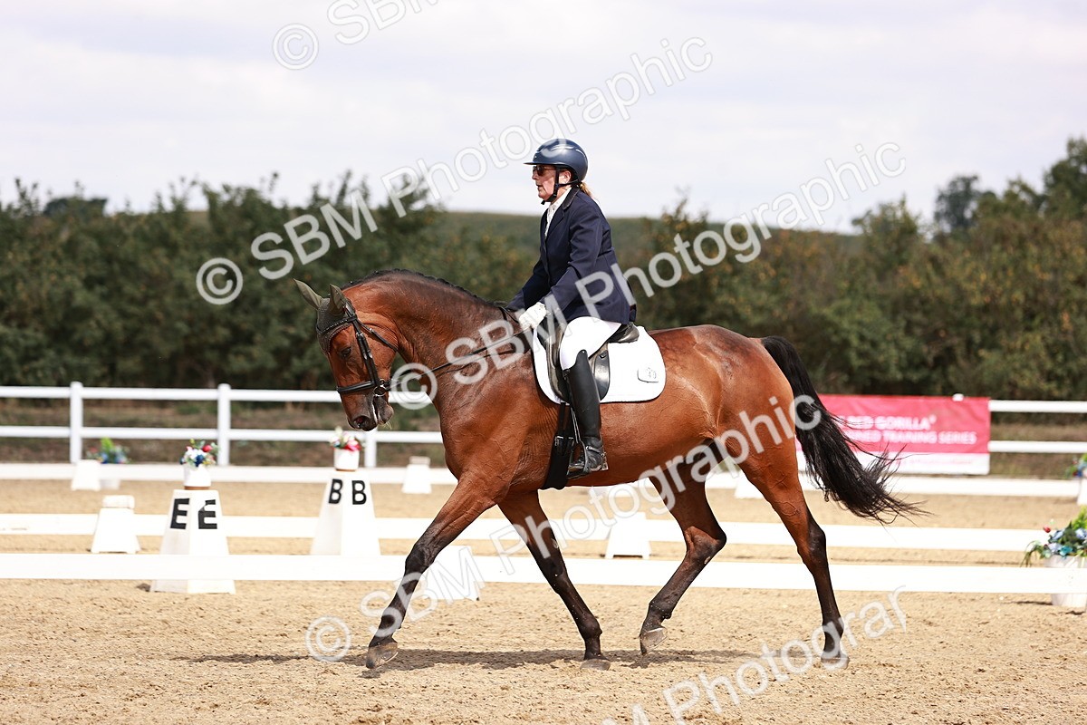 SBM_018517 - Class 17 - Novice 6