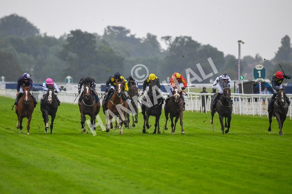 140723-Race 2-Swingalong-0136 - Race 2 2.40pm William Hill Summer Stakes