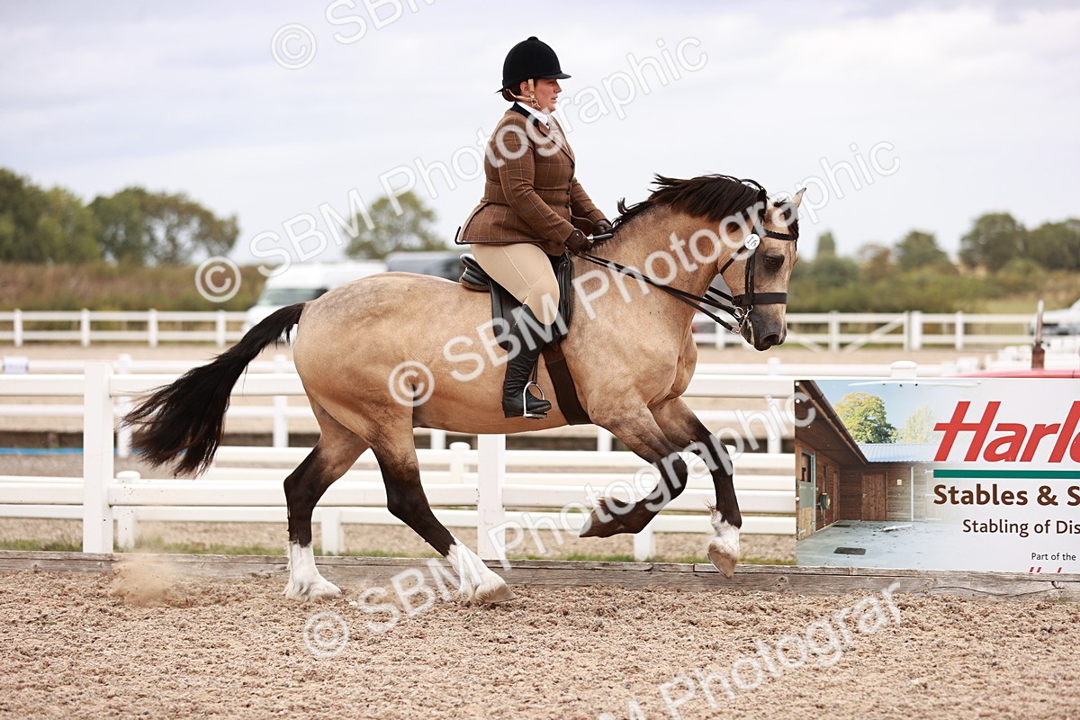 SBM_18974 - Class 422 - Ridden M&M