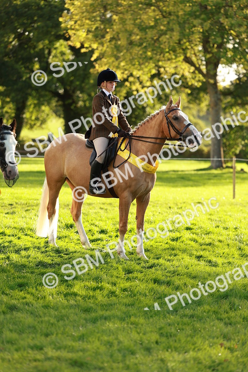SBM_29312 - Novice & newcomer Supreme Championship