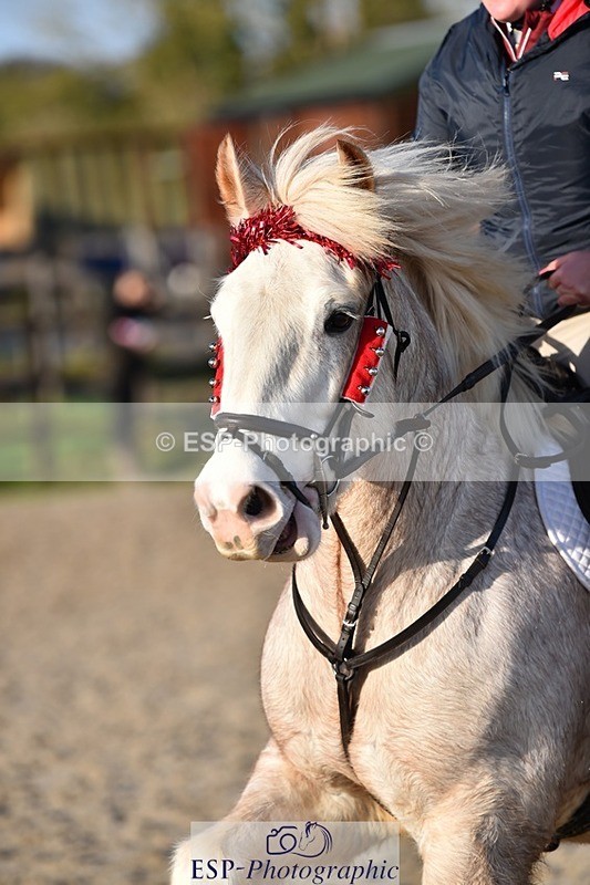 231210-124232-00568 - Cls 4 60cm