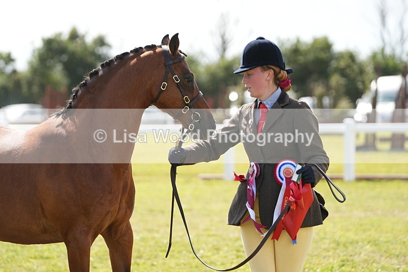 DSC07506 - Pony Breeding Championship