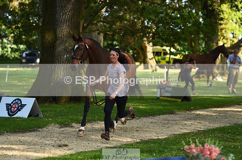 230524-172220-01470 - 179-JARSON-Charlotte_Agnew-WEDTrotUp+DR