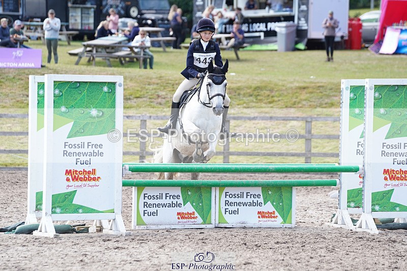 240824X-141544-28114 - 80cm Round 1 14.00 to 15.30