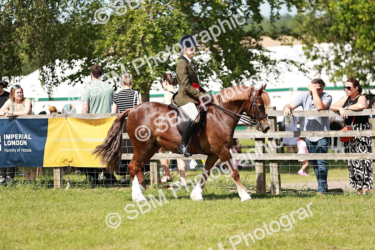 SBM_08461 - Class 61-62 - TSR  M&M Ridden Amateur of the Year