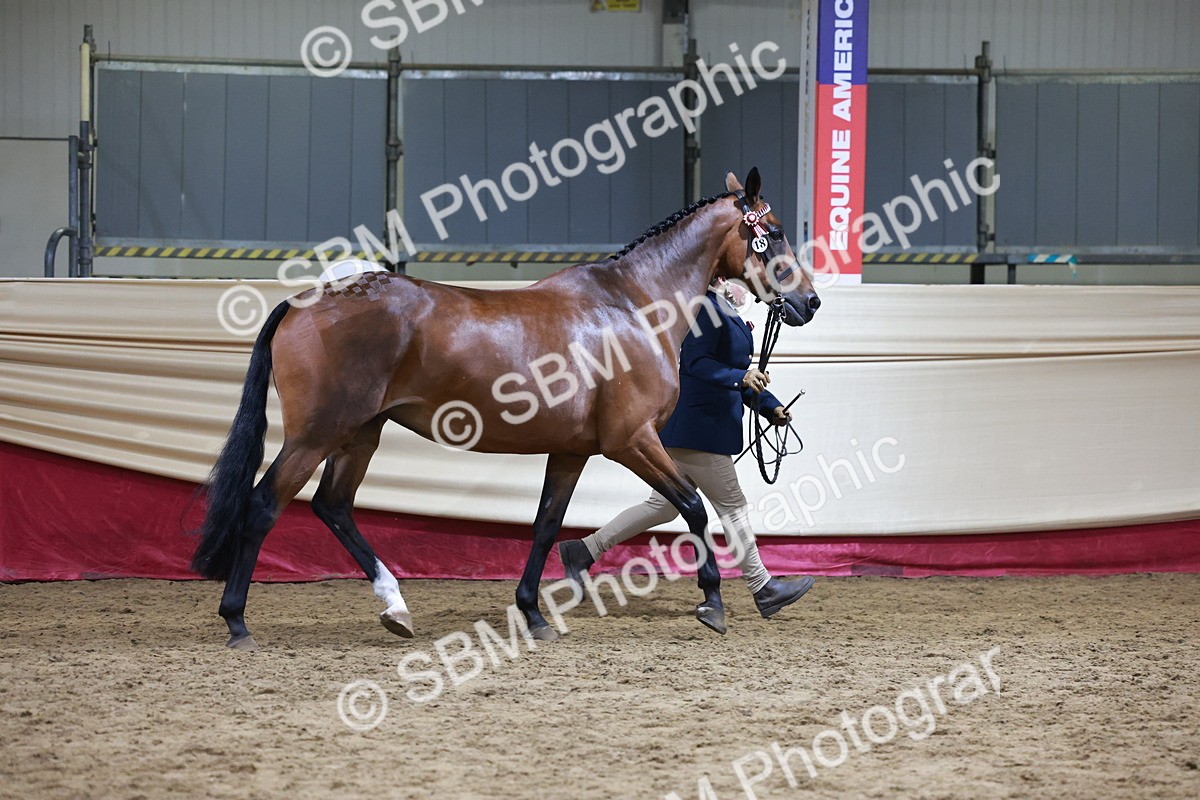 SBM_20322 - Class E - Best Turned Out Champ