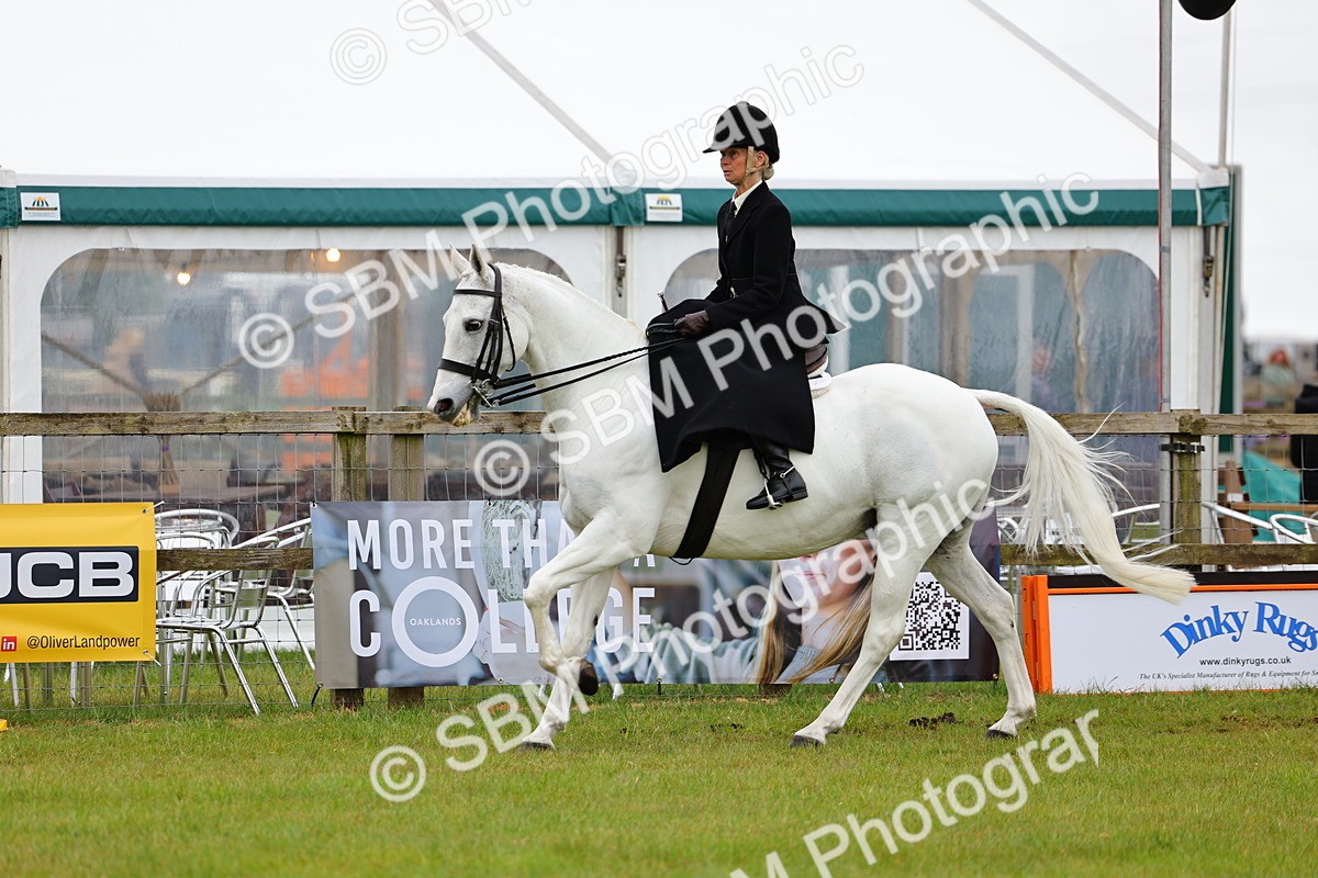 SBM_02737 - Class 9-11 Side Saddle including LIHS Rising Star Ladies Show Horse
