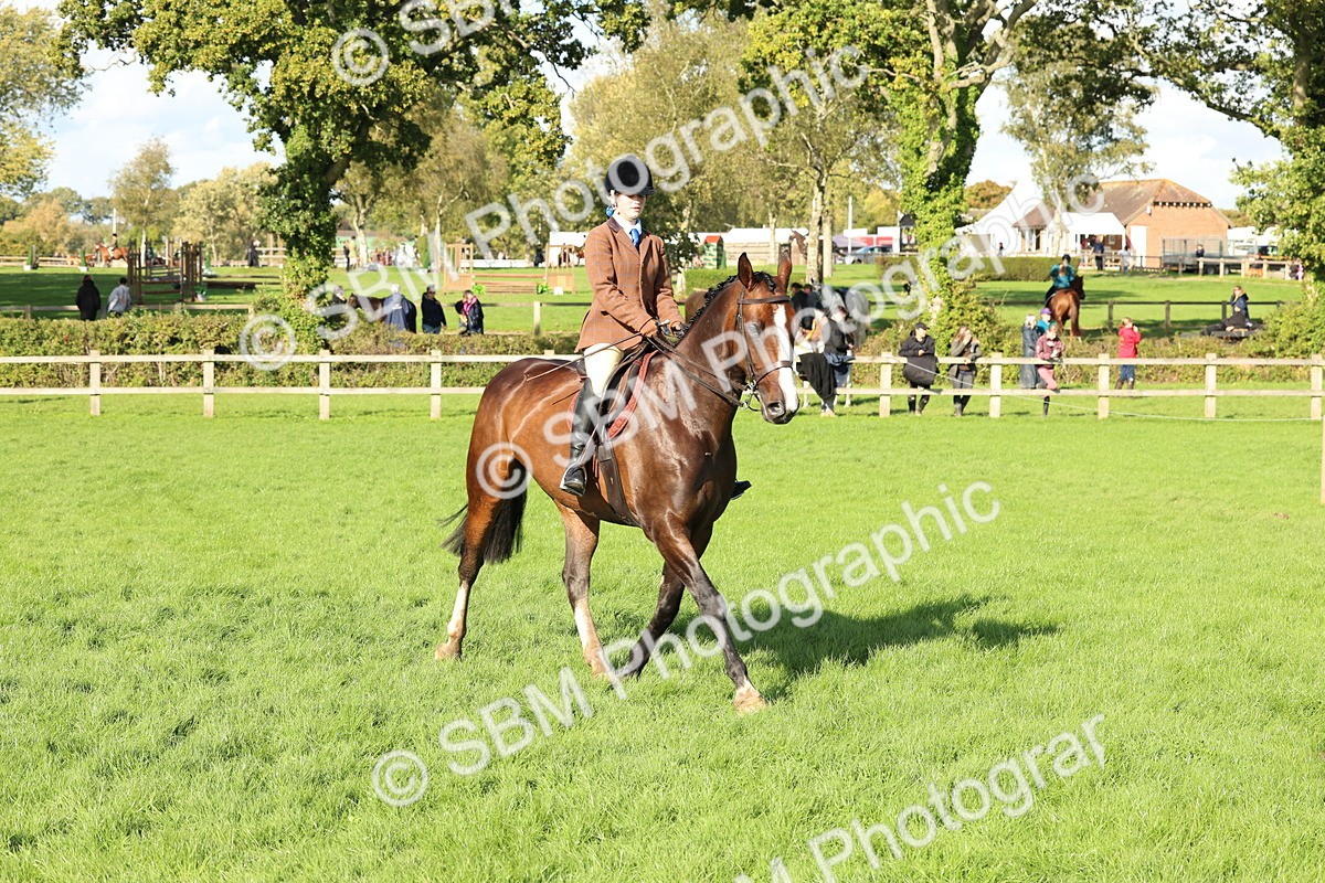 SBM_50115 - S34 - Novice & Newcomers Working Hunter