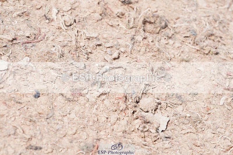 250503-121306-00760 - Cls 21+22 Club and Schools 80cm