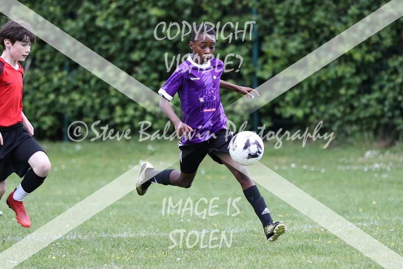 1DX31285 - Brook Field V Goddard Park