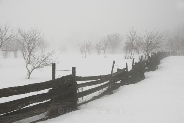  - 2008 First Place - (IPA) International Photography Awards