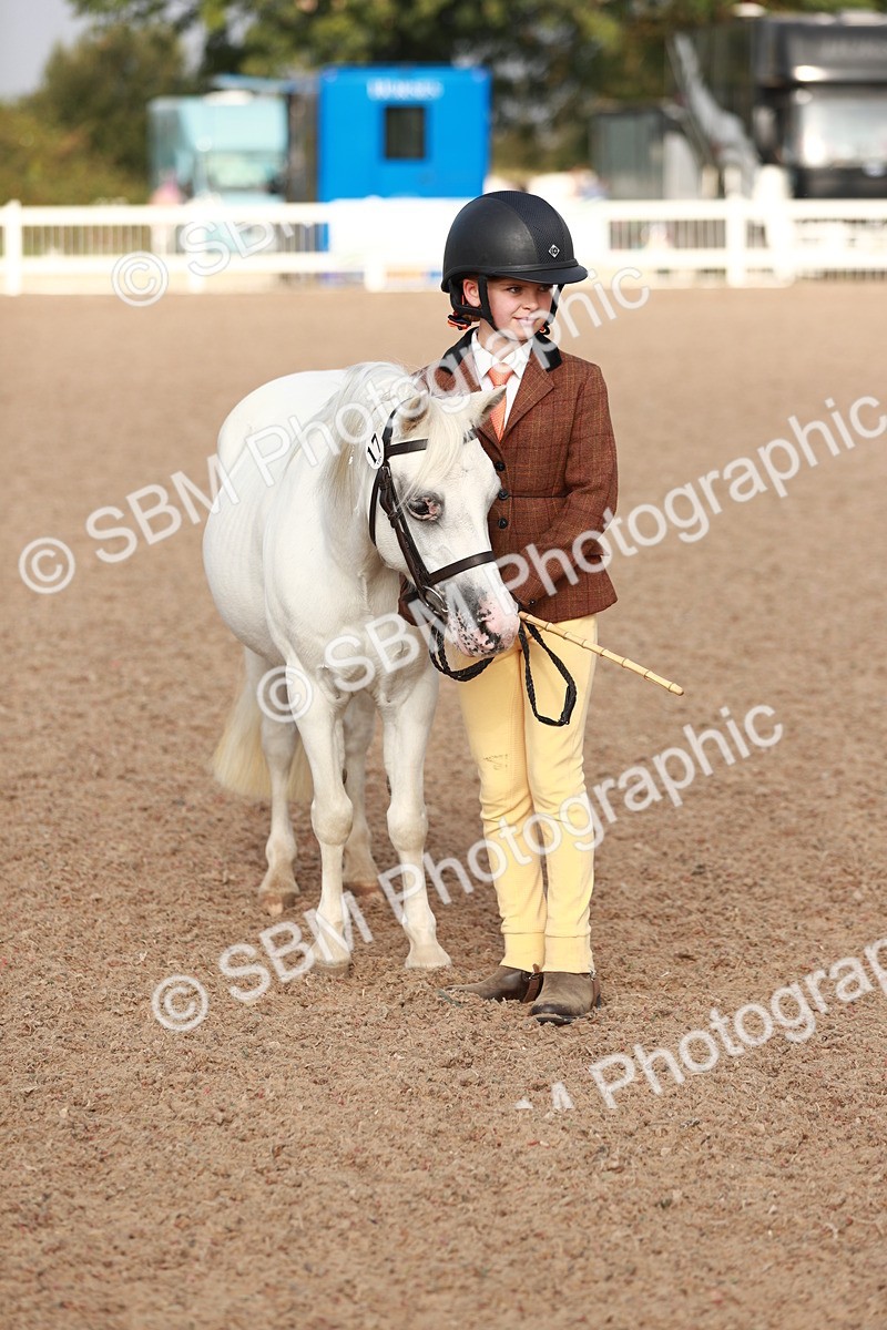 SBM_09925 - Class 203 Young Handler, 10 years and under