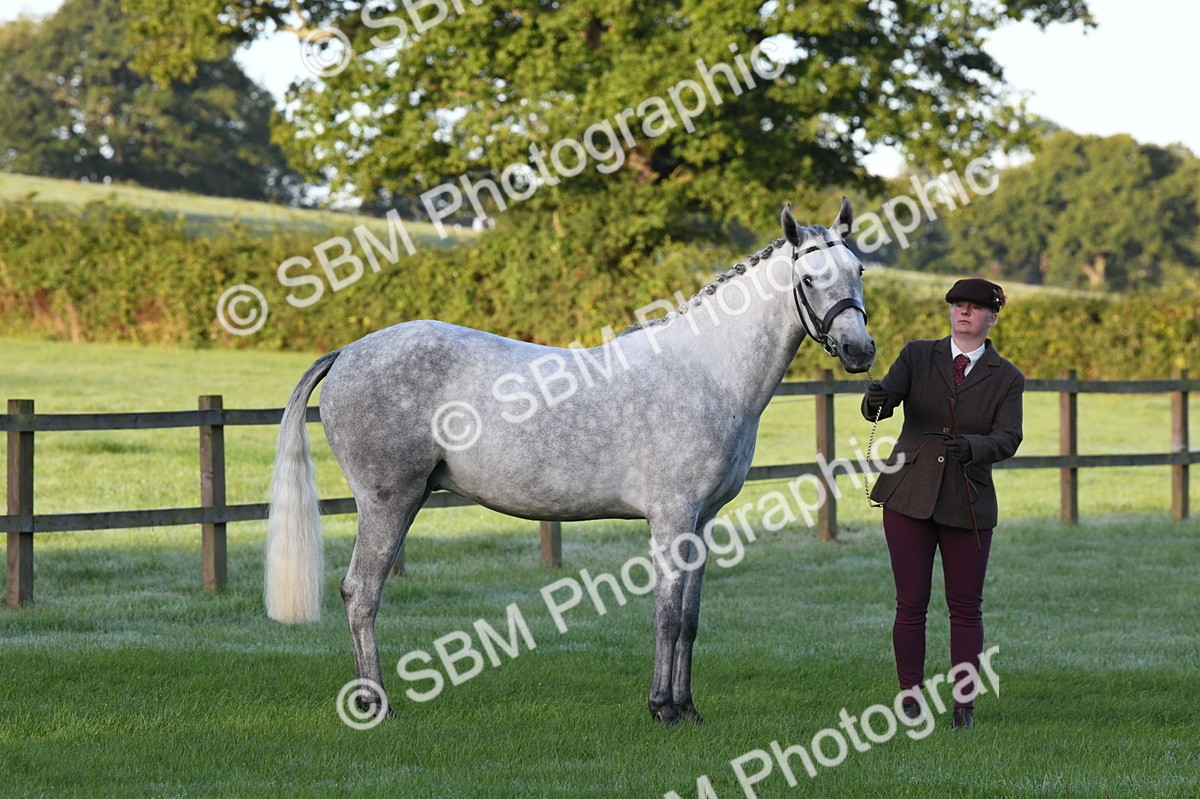 SBM_32596 - S15 - Condition & Turnout In Hand