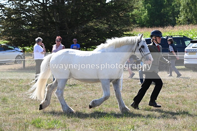 WJ6_4912 - Class 17 Mountain & Moorland
