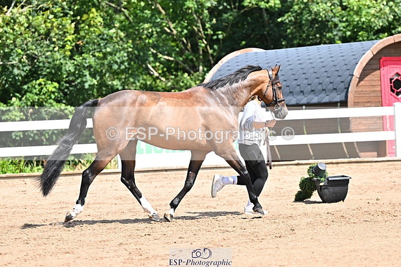 240718A-105244-01089 - Trot Up 12pm to 1pm