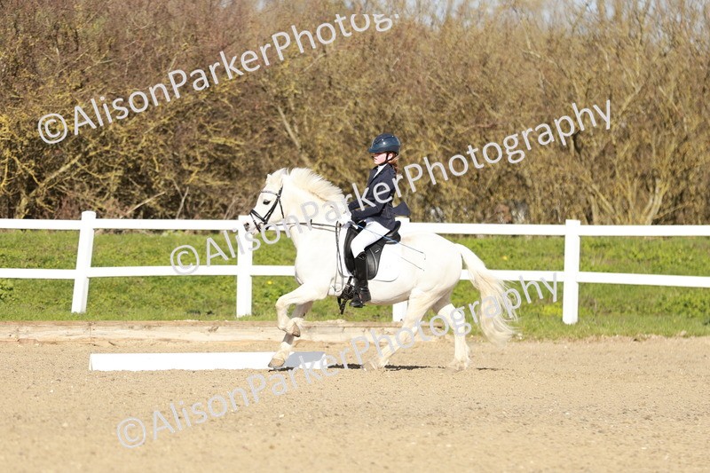 20260314-4518 - DR4 - Prelim 2