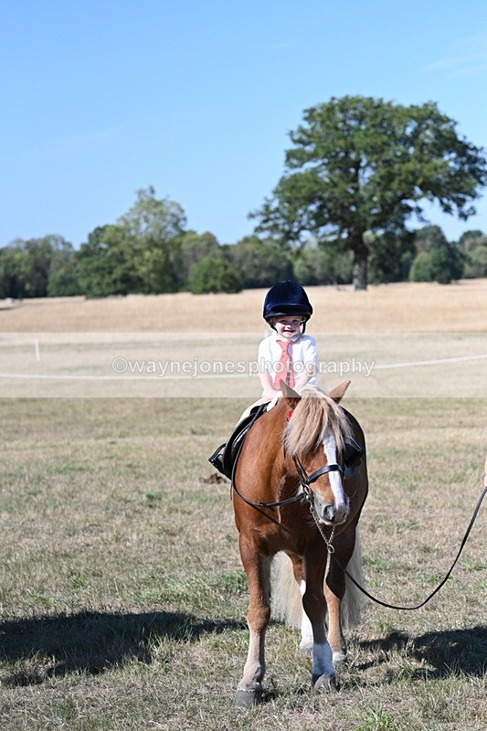 WJ7_2170 - Class 44 Child's Best Friend