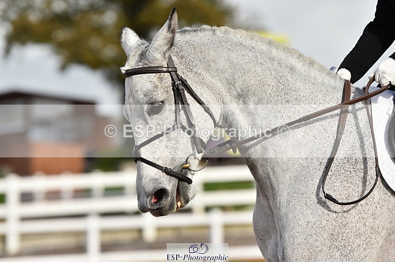 231104A-115646-01635 - Cls 5 Novice 37A