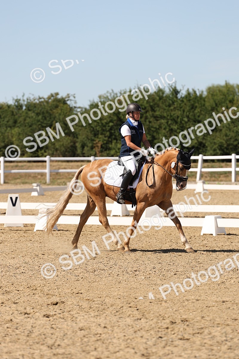 SBM_003675 - Elementary 4