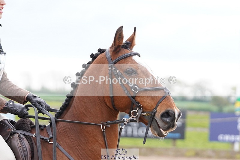 250419-141818-11226 - 811-Grace.Williams-RUSSIAN.ROULETTE.II