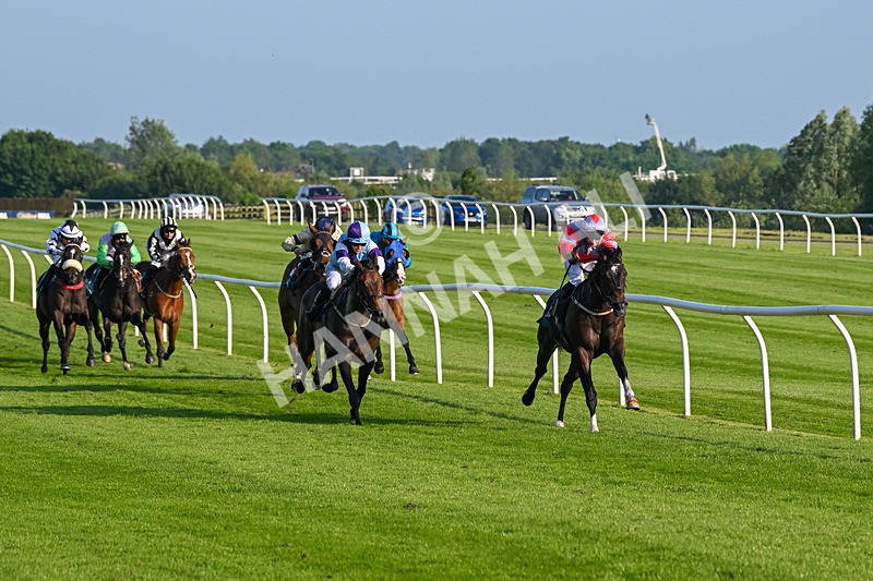 310524-Race 2-Dandy Fitz-8471 - Race 2