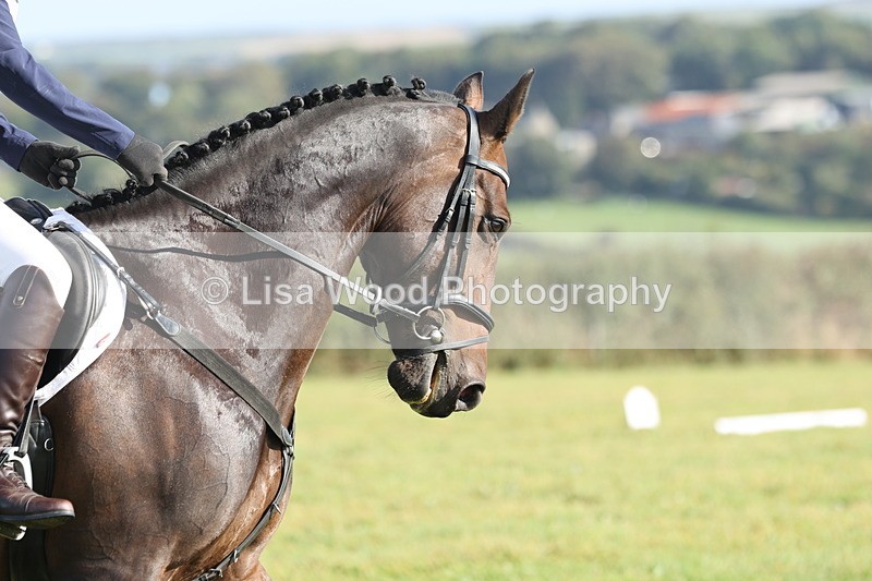 JPP_7986 - Class 2A: Trekenning Open: Dressage