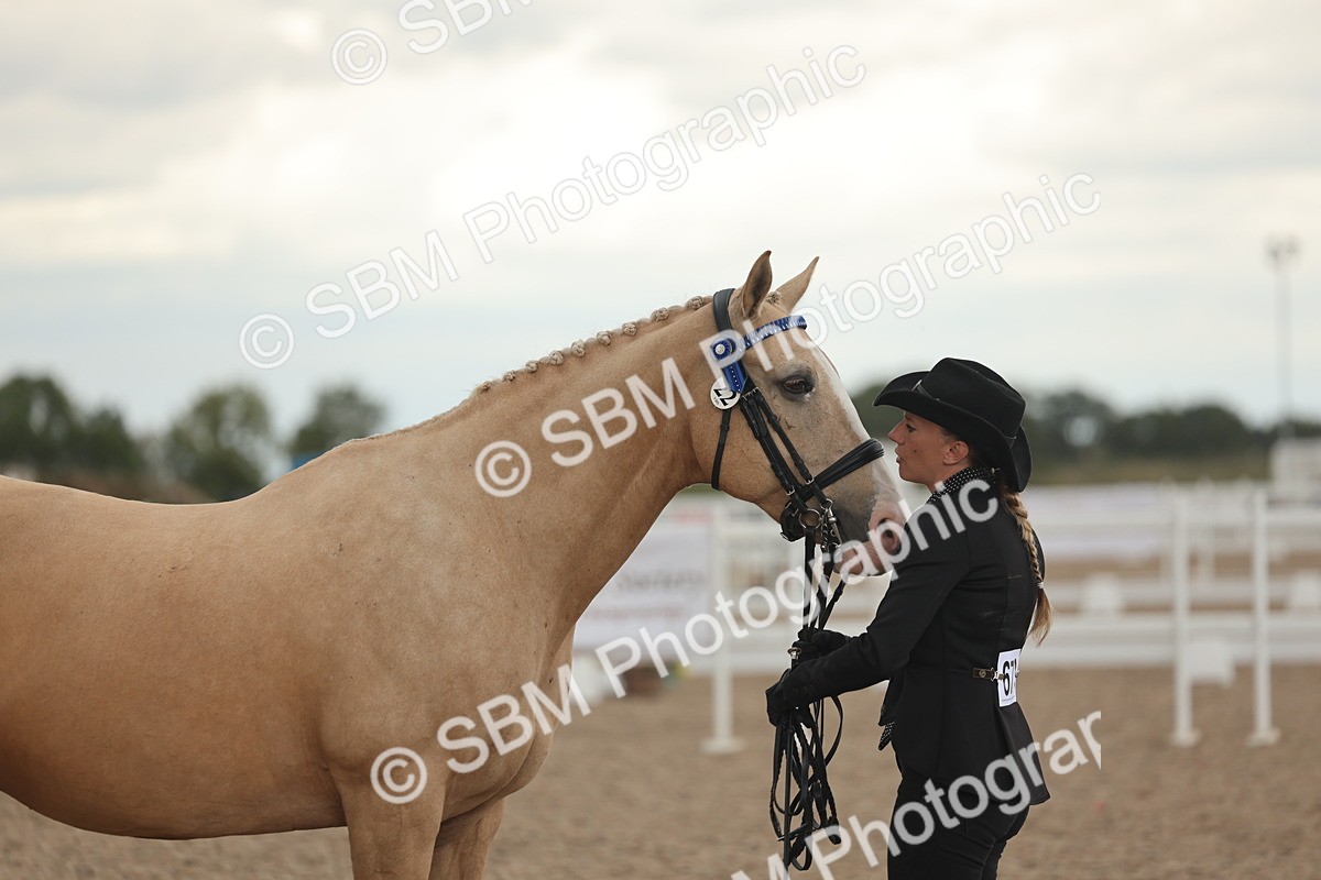 SBM_07661 - Class 26 - IH Foreign Breeds - Part Bred